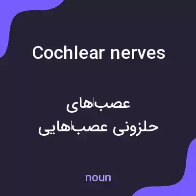 معنی cochlear nerves به فارسی معنی cochlear nerves به فارسی