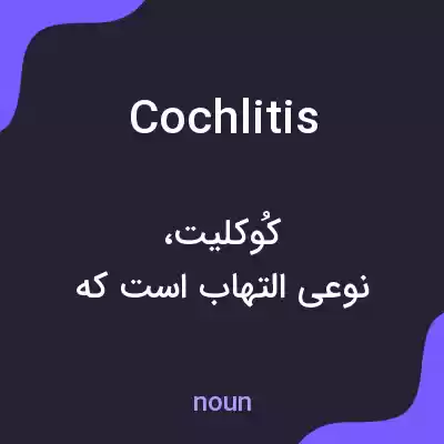 معنی cochlitis به فارسی معنی cochlitis به فارسی