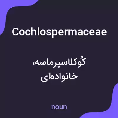معنی cochlospermaceae به فارسی معنی cochlospermaceae به فارسی
