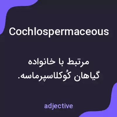 معنی cochlospermaceous به فارسی معنی cochlospermaceous به فارسی