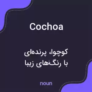 معنی cochoa به فارسی معنی cochoa به فارسی