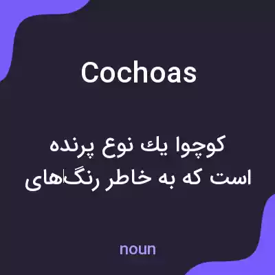 معنی cochoas به فارسی
