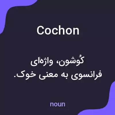 معنی cochon به فارسی معنی cochon به فارسی
