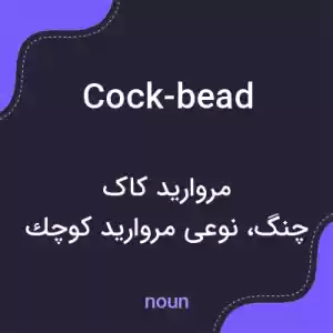 معنی cock-bead به فارسی معنی cock-bead به فارسی