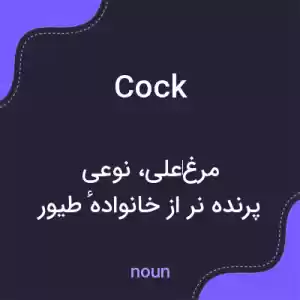 معنی cock به فارسی معنی cock به فارسی