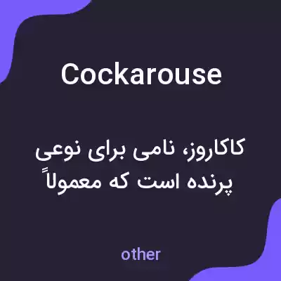 معنی cockarouse به فارسی معنی cockarouse به فارسی