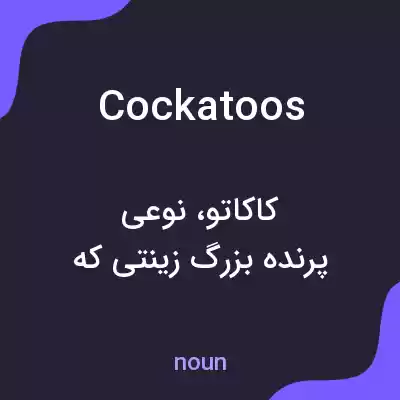 معنی cockatoos به فارسی