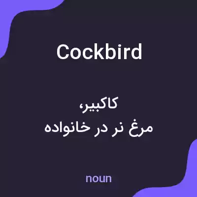 معنی cockbird به فارسی