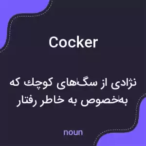 معنی cocker به فارسی معنی cocker به فارسی