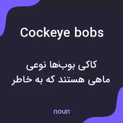 معنی cockeye bobs به فارسی