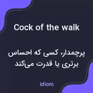 معنی cock of the walk به فارسی