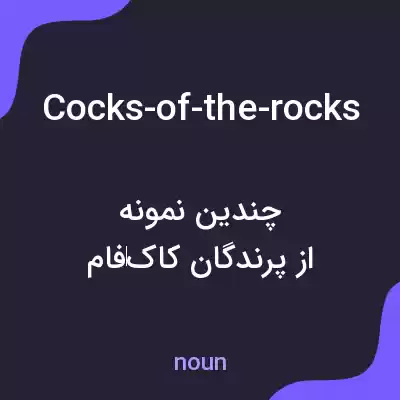 معنی cocks-of-the-rocks به فارسی معنی cocks-of-the-rocks به فارسی