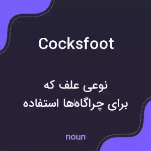 معنی cocksfoot به فارسی معنی cocksfoot به فارسی