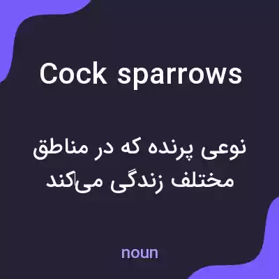 معنی cock sparrows به فارسی معنی cock sparrows به فارسی