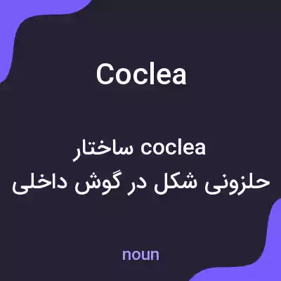 معنی coclea به فارسی معنی coclea به فارسی