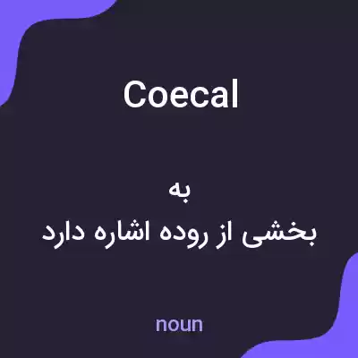 معنی coecal به فارسی معنی coecal به فارسی