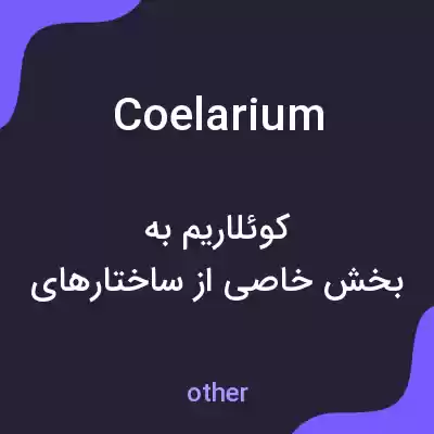 معنی coelarium به فارسی معنی coelarium به فارسی