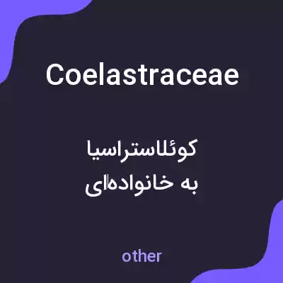 معنی coelastraceae به فارسی معنی coelastraceae به فارسی