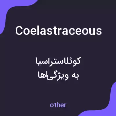 معنی coelastraceous به فارسی معنی coelastraceous به فارسی