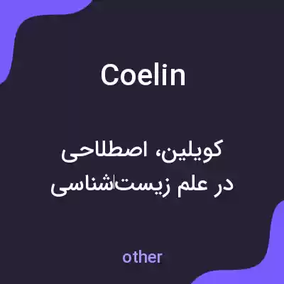 معنی coelin به فارسی معنی coelin به فارسی