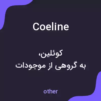 معنی coeline به فارسی معنی coeline به فارسی