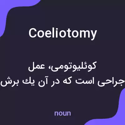 معنی coeliotomy به فارسی معنی coeliotomy به فارسی