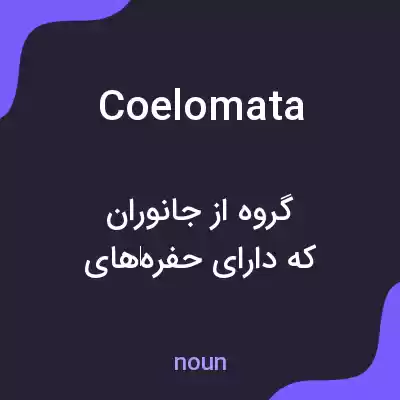 معنی coelomata به فارسی معنی coelomata به فارسی