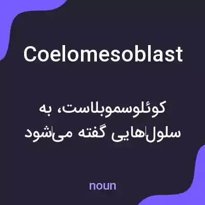 معنی coelomesoblast به فارسی معنی coelomesoblast به فارسی