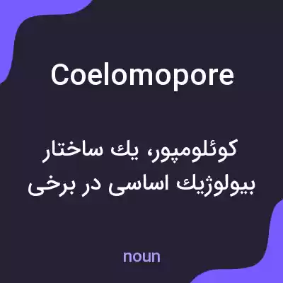 معنی coelomopore به فارسی معنی coelomopore به فارسی