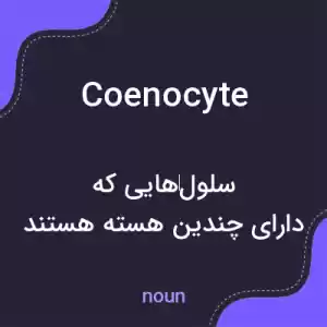 معنی coenocyte به فارسی معنی coenocyte به فارسی
