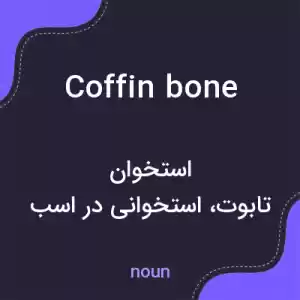 معنی coffin bone به فارسی معنی coffin bone به فارسی