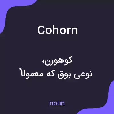 معنی cohorn به فارسی معنی cohorn به فارسی