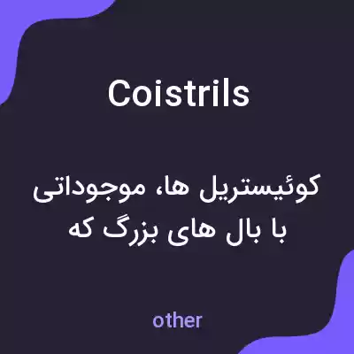 معنی coistrils به فارسی معنی coistrils به فارسی