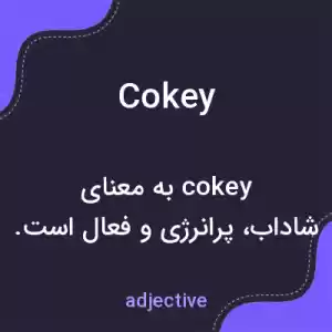 معنی cokey به فارسی معنی cokey به فارسی