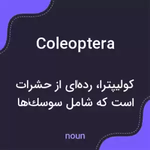 معنی coleoptera به فارسی