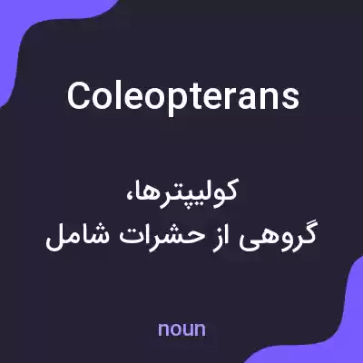 معنی coleopterans به فارسی معنی coleopterans به فارسی