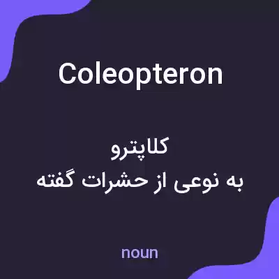معنی coleopteron به فارسی معنی coleopteron به فارسی