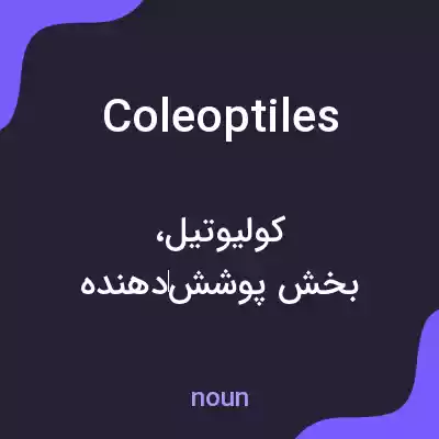 معنی coleoptiles به فارسی معنی coleoptiles به فارسی