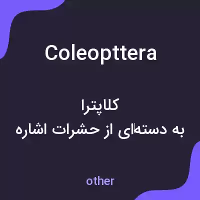 معنی coleopttera به فارسی معنی coleopttera به فارسی