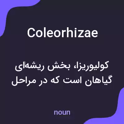 معنی coleorhizae به فارسی معنی coleorhizae به فارسی