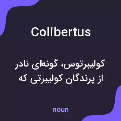 معنی colibertus به فارسی معنی colibertus به فارسی