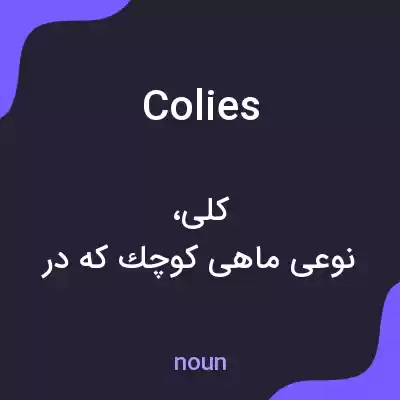 معنی colies به فارسی معنی colies به فارسی