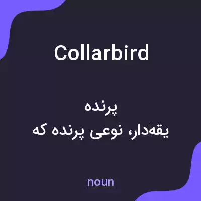 معنی collarbird به فارسی معنی collarbird به فارسی