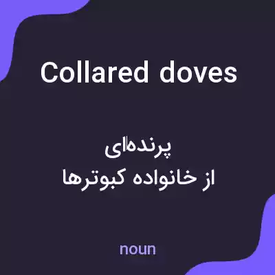 معنی collared doves به فارسی معنی collared doves به فارسی