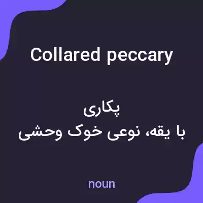 معنی collared peccary به فارسی معنی collared peccary به فارسی