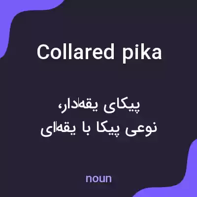 معنی collared pika به فارسی معنی collared pika به فارسی