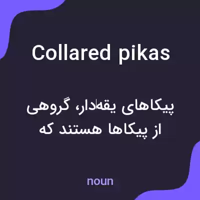 معنی collared pikas به فارسی معنی collared pikas به فارسی
