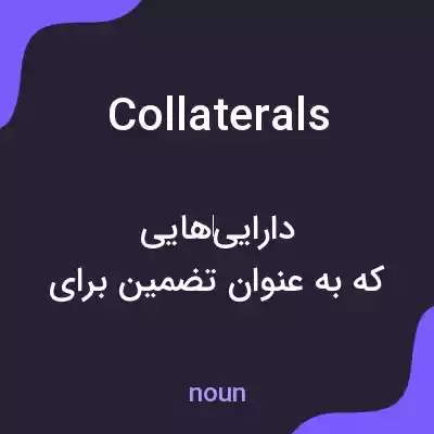 معنی collaterals به فارسی معنی collaterals به فارسی
