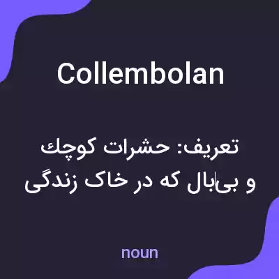 معنی collembolan به فارسی معنی collembolan به فارسی