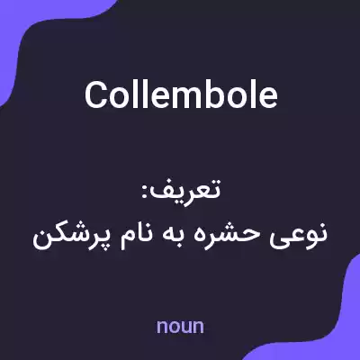 معنی collembole به فارسی معنی collembole به فارسی